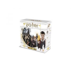 Harry Potter un Anno a Hogwarts