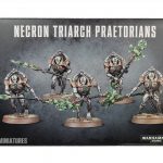 Necron Triarch Praetorians